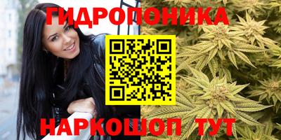дурь Малгобек