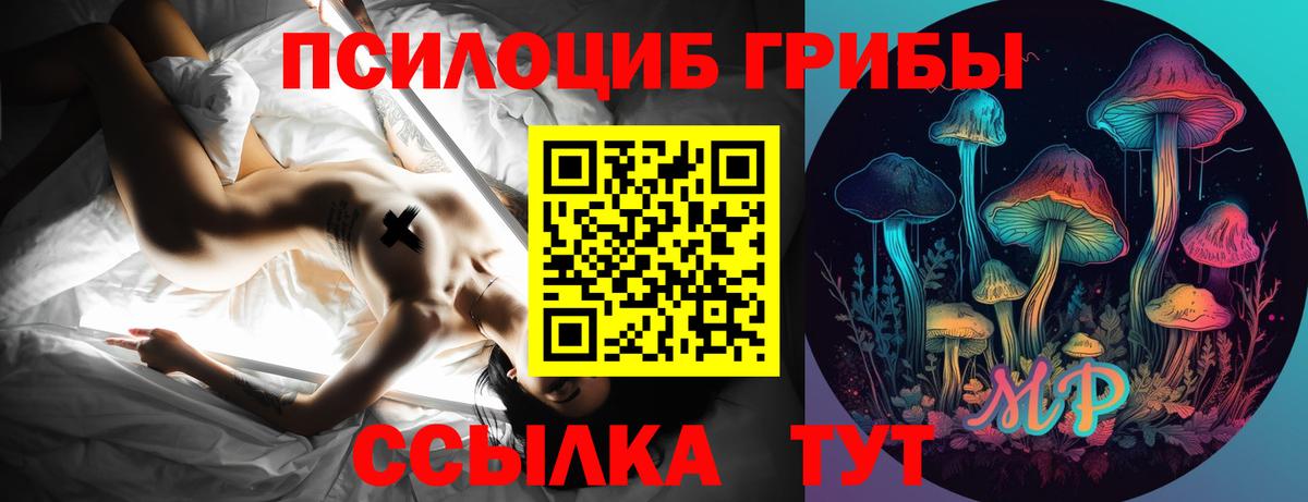 Омск  Псилоцибиновые грибы мухоморы  Вход с VPN 